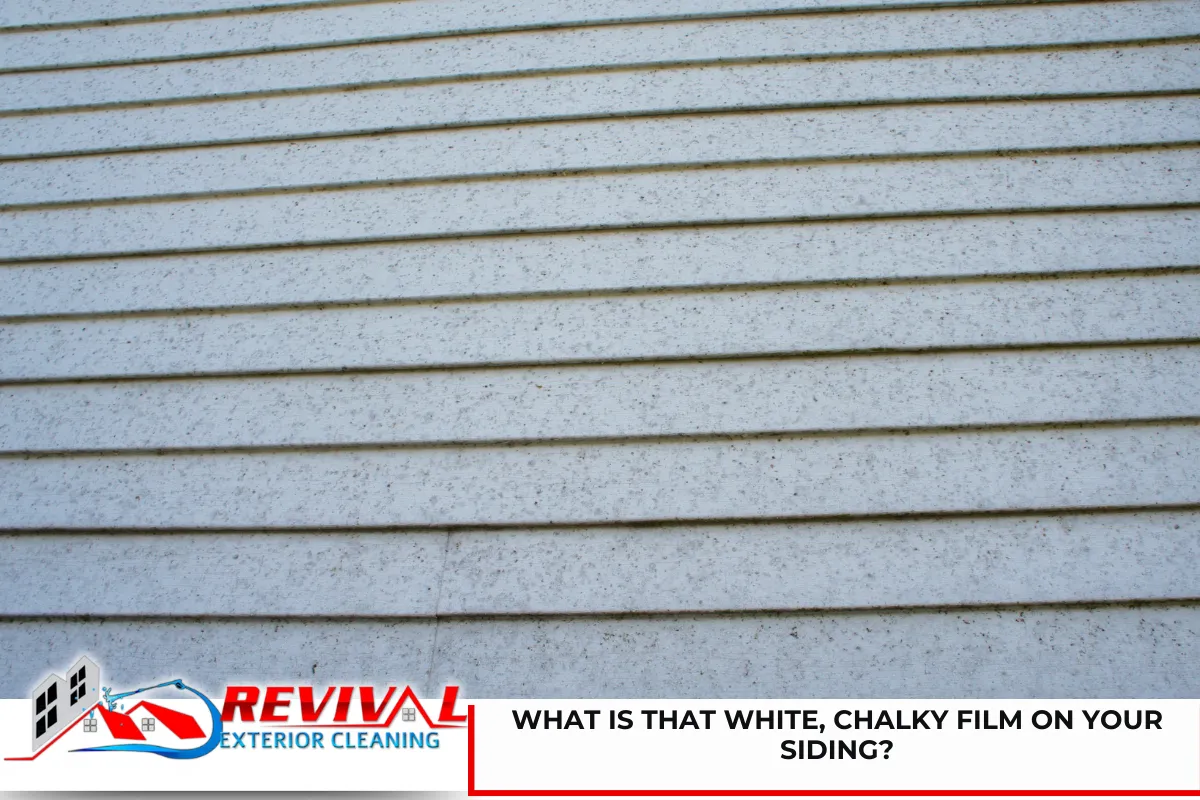 What Is That White, Chalky Film on Your Siding?
