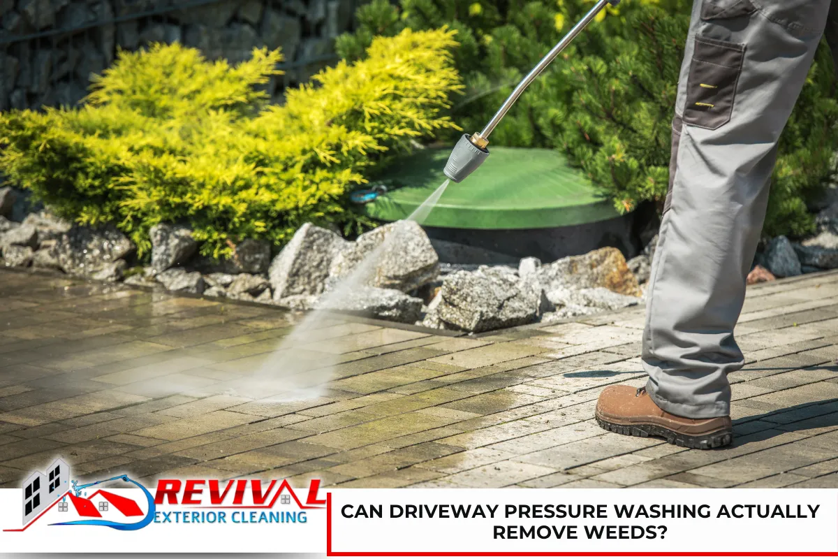 Can driveway pressure washing actually remove weeds