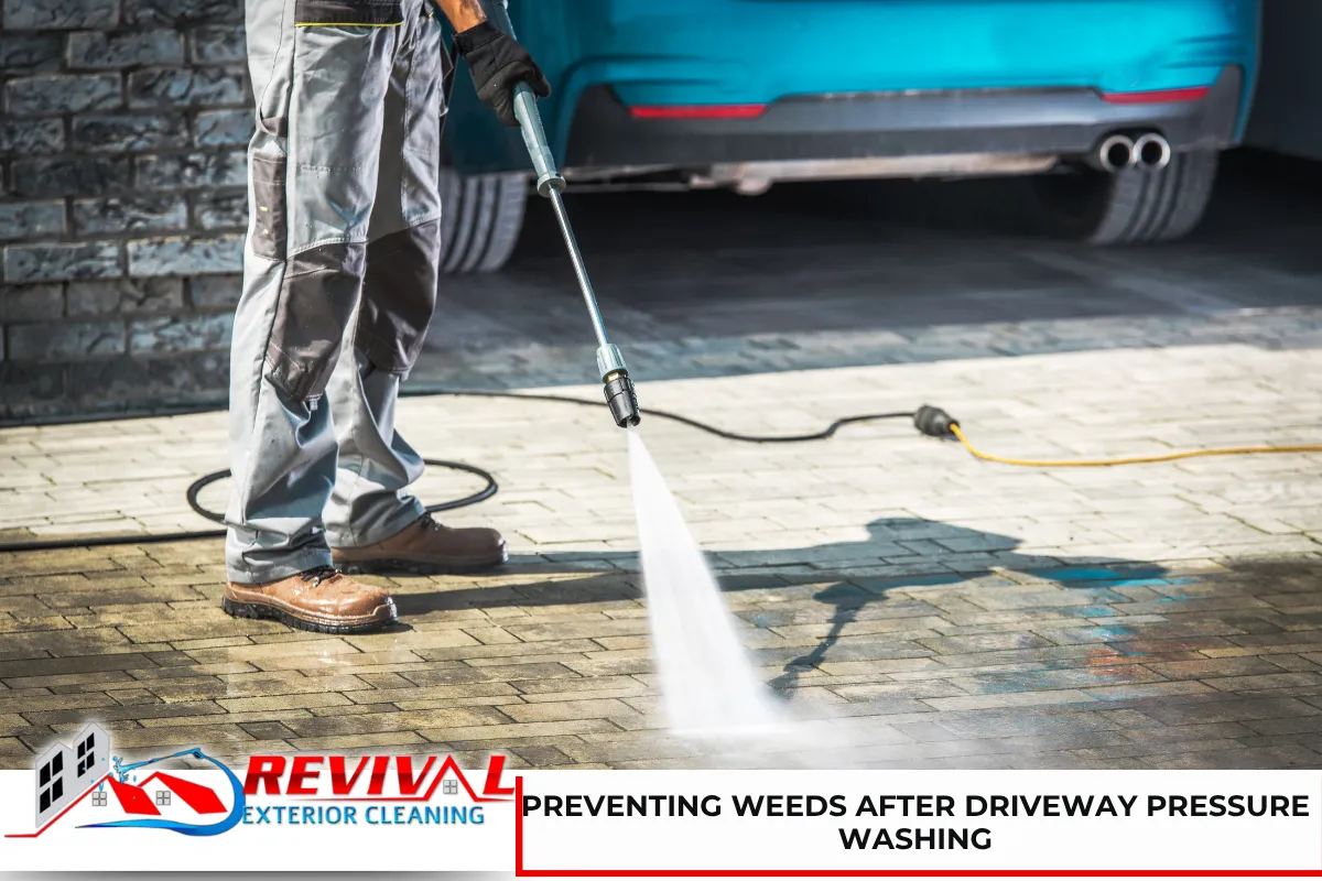 Preventing weeds after driveway pressure washing