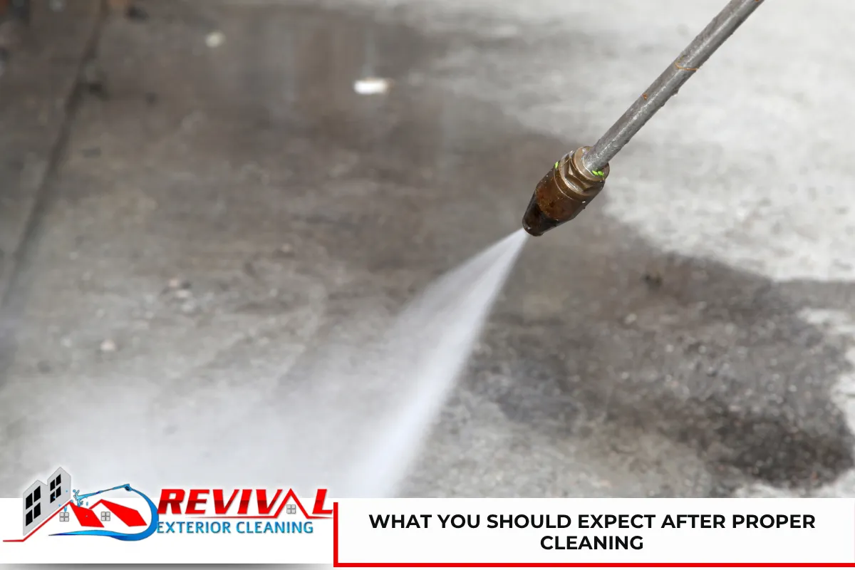 What You Should Expect After Proper Cleaning