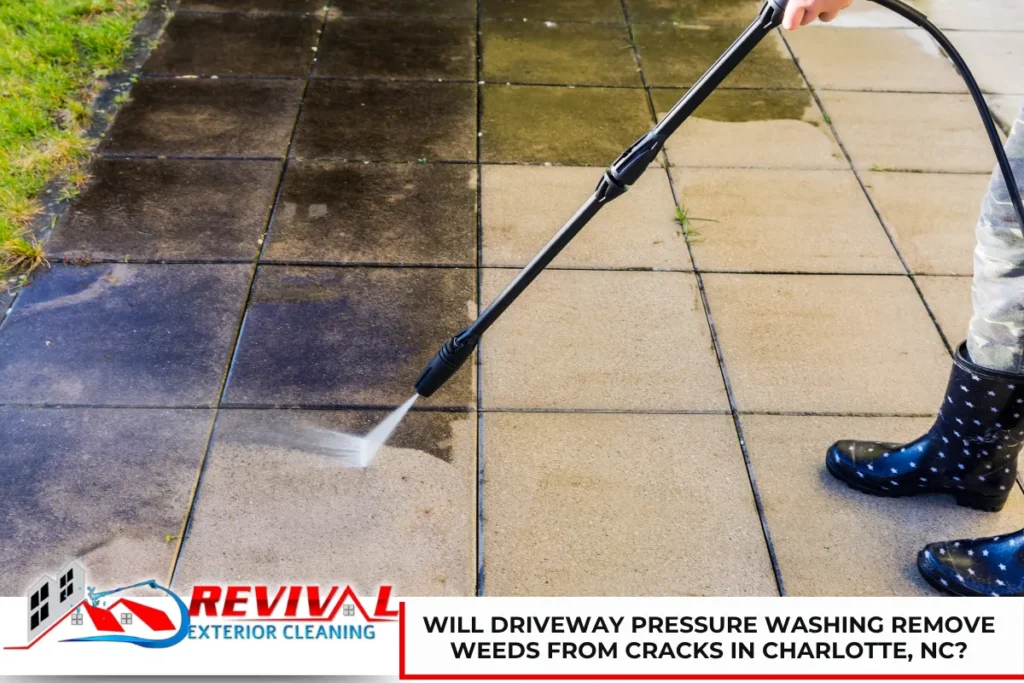 Will Driveway Pressure Washing Remove Weeds From Cracks in Charlotte, NC