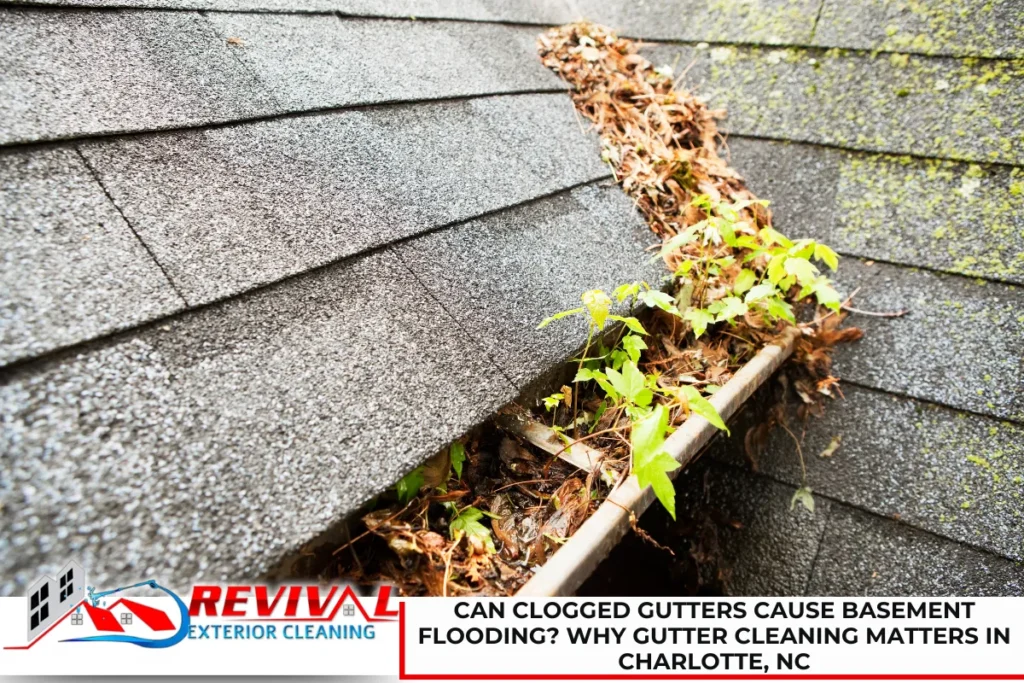 Can Clogged Gutters Cause Basement Flooding? Why Gutter Cleaning Matters in Charlotte, NC