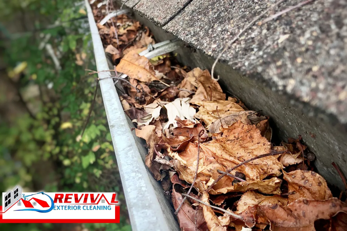 Common Signs Your Gutters Are Putting Your Basement at Risk
