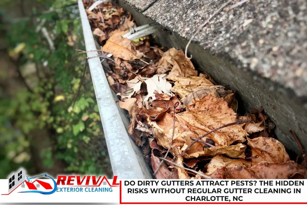 Do Dirty Gutters Attract Pests? The Hidden Risks Without Regular Gutter Cleaning in Charlotte, NC
