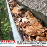 Do Dirty Gutters Attract Pests? The Hidden Risks Without Regular Gutter Cleaning in Charlotte, NC