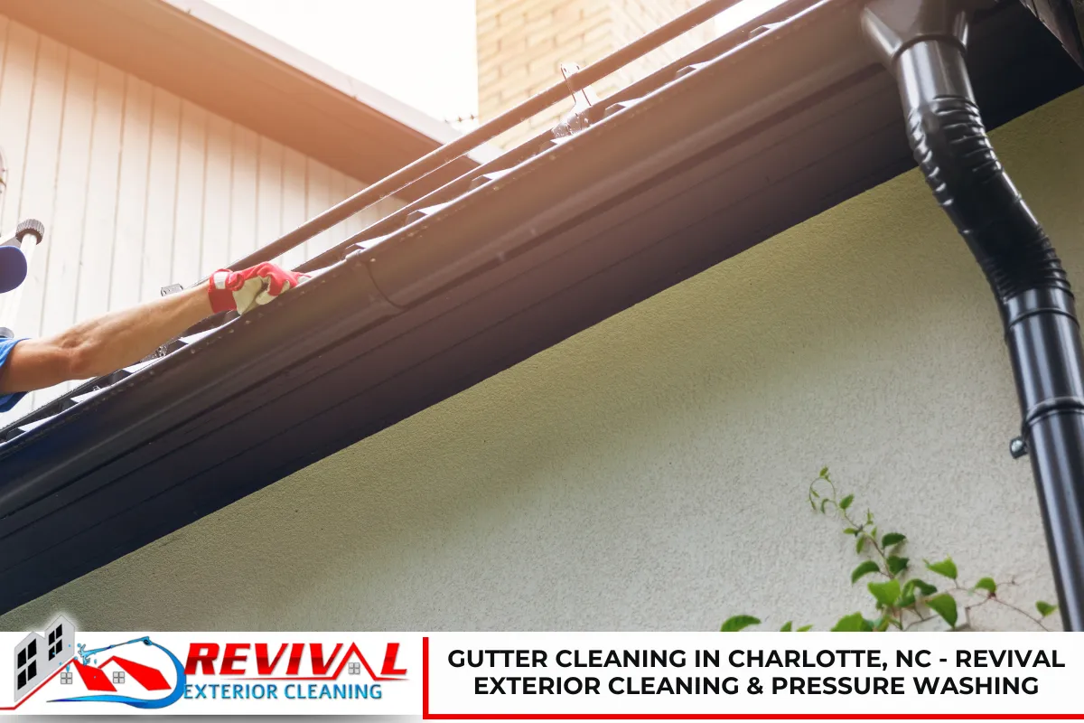 Gutter Cleaning in Charlotte, NC - Reach out to Revival Exterior Today!