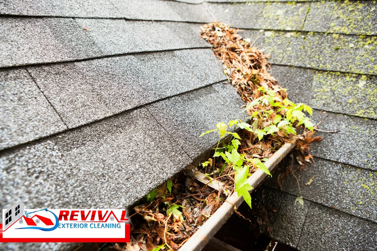How Dirty Gutters Turn Into a Pest Magnet
