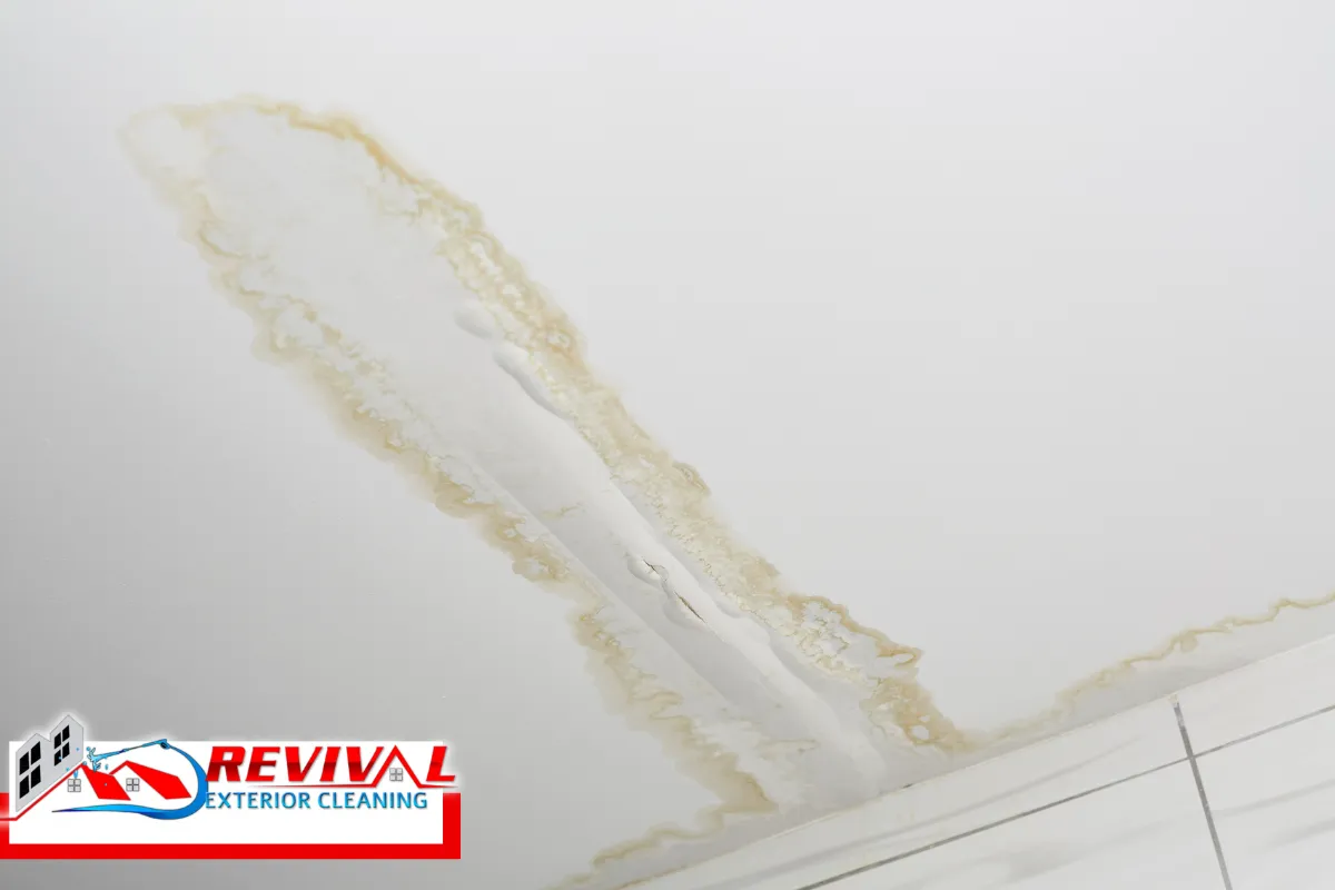Why Charlotte, NC Homes Are Especially Vulnerable to Gutter-Related Water Damage