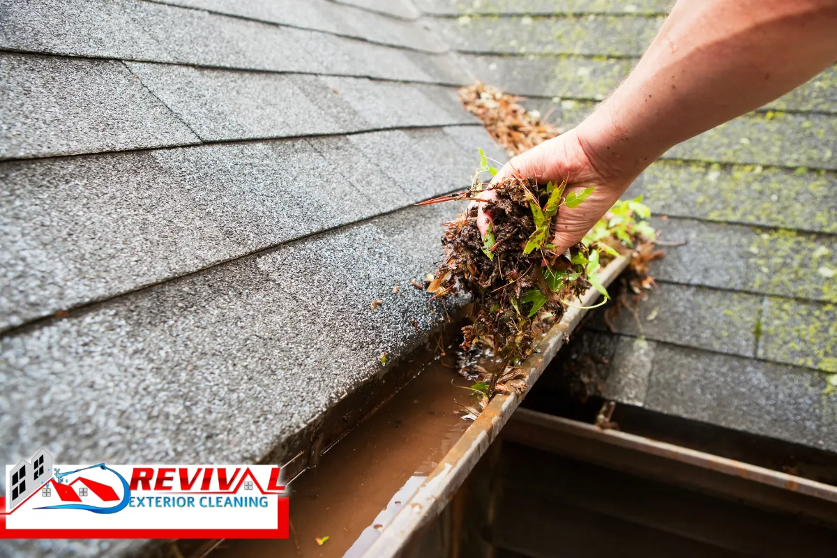 Why Charlotte’s Climate Makes Clean Gutters Even More Critical