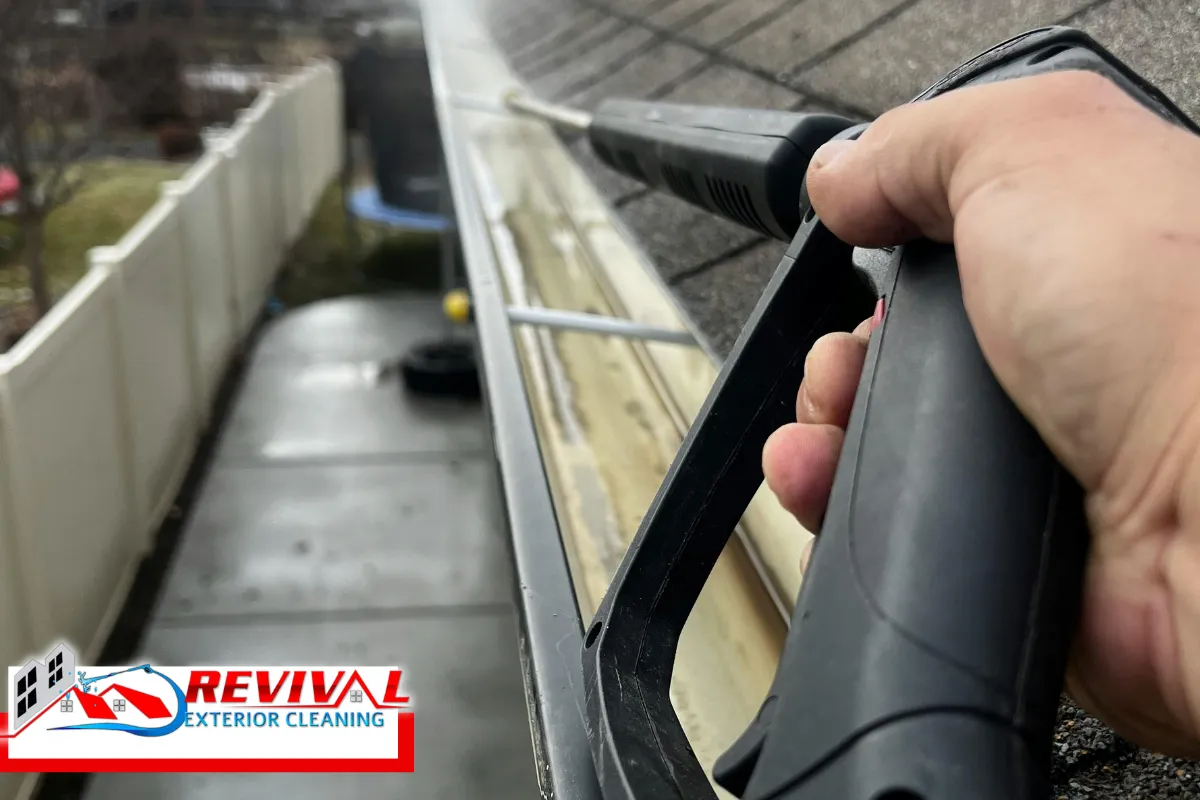Choosing a Cleaning Frequency for Pine-Covered Properties