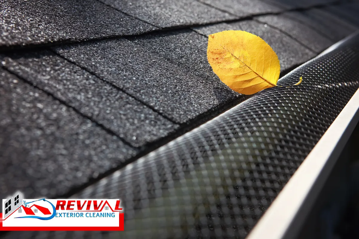 Do Gutter Guards Eliminate the Pine-Needle Schedule