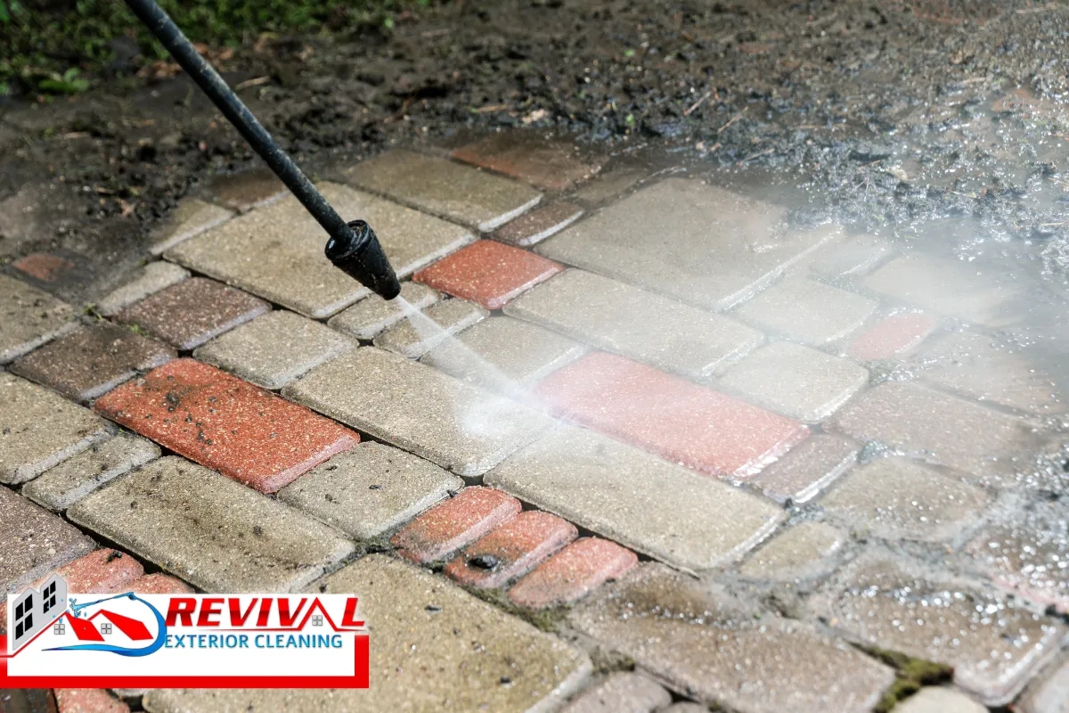 How the Professional Cleaning Process Usually Works