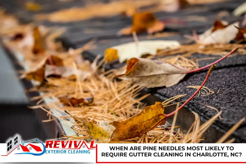 When Are Pine Needles Most Likely to Require Gutter Cleaning in Charlotte, NC?