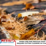 When Are Pine Needles Most Likely to Require Gutter Cleaning in Charlotte, NC?