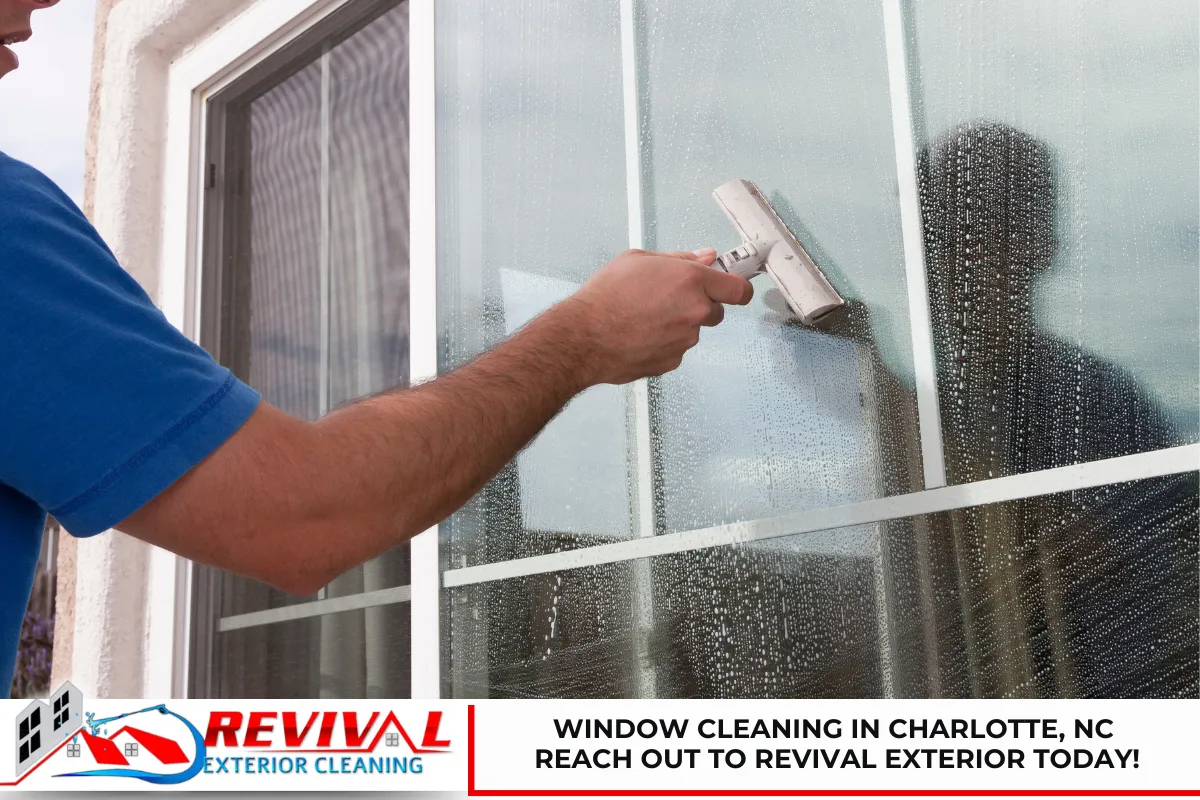 Window Cleaning in Charlotte, NC - Reach out to Revival Exterior Today!
