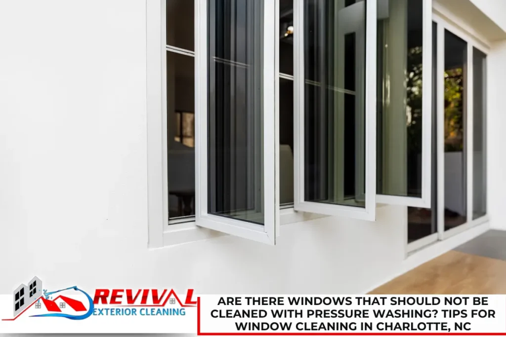 Are There Windows That Should Not Be Cleaned With Pressure Washing? Tips for Window Cleaning in Charlotte, NC