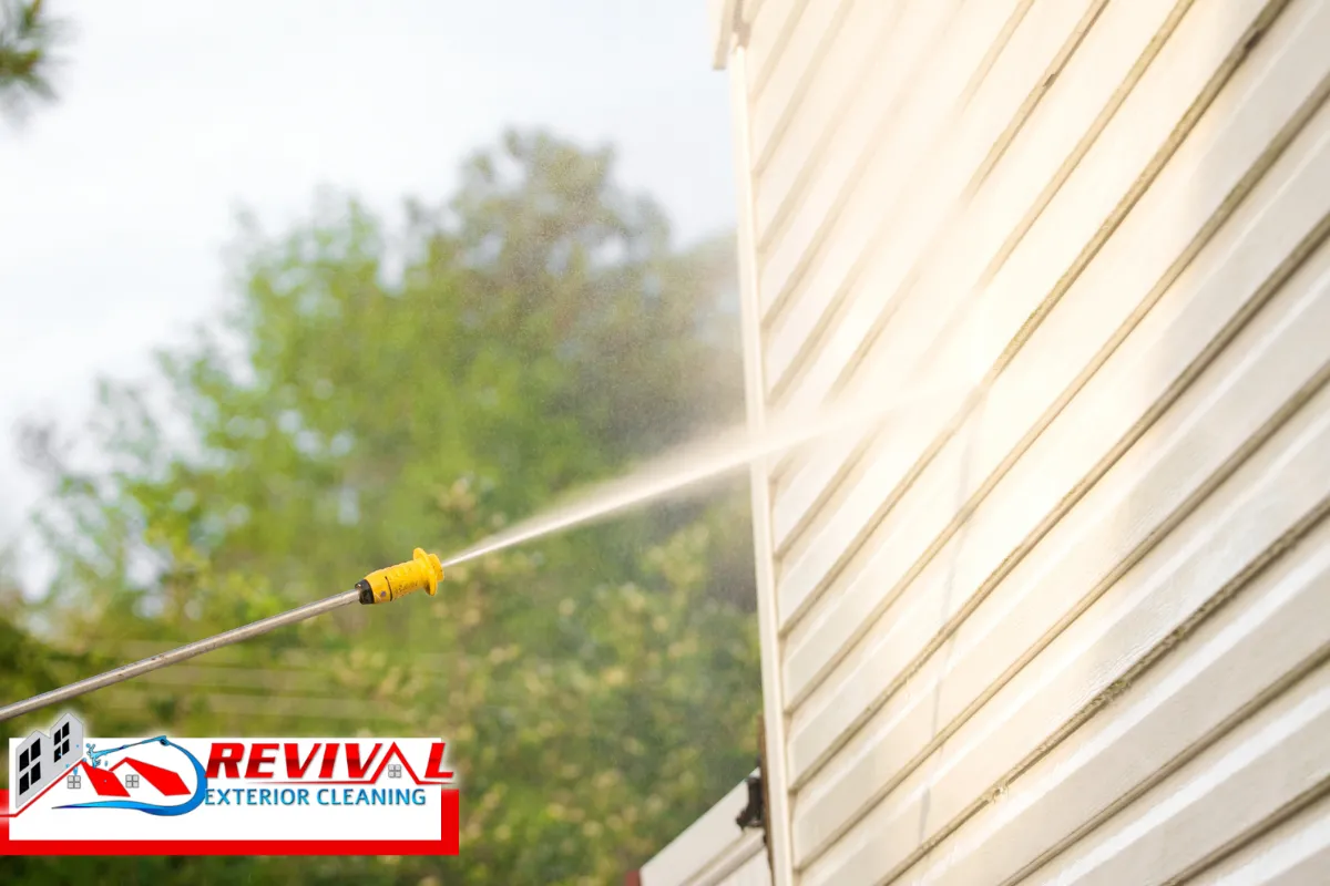 Common Mistakes When Painting After a Pressure Wash