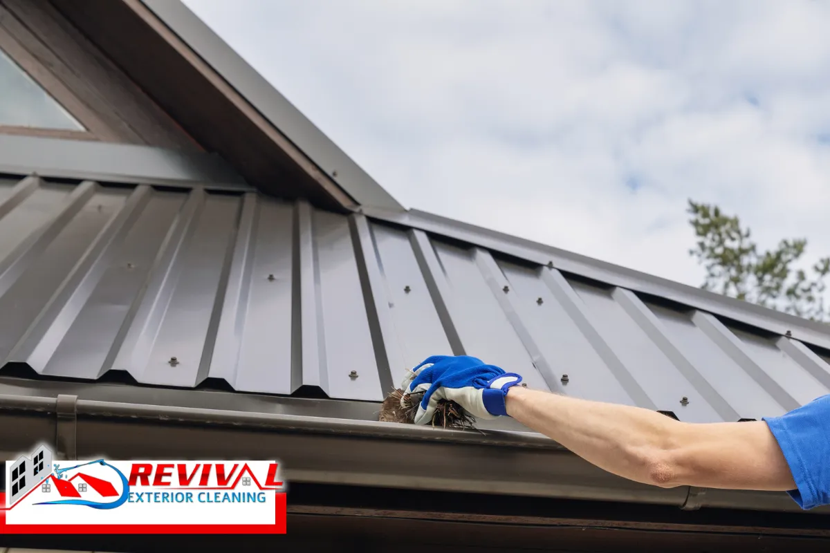 Hand Cleaning vs. Washing vs. Soft Washing Gutters