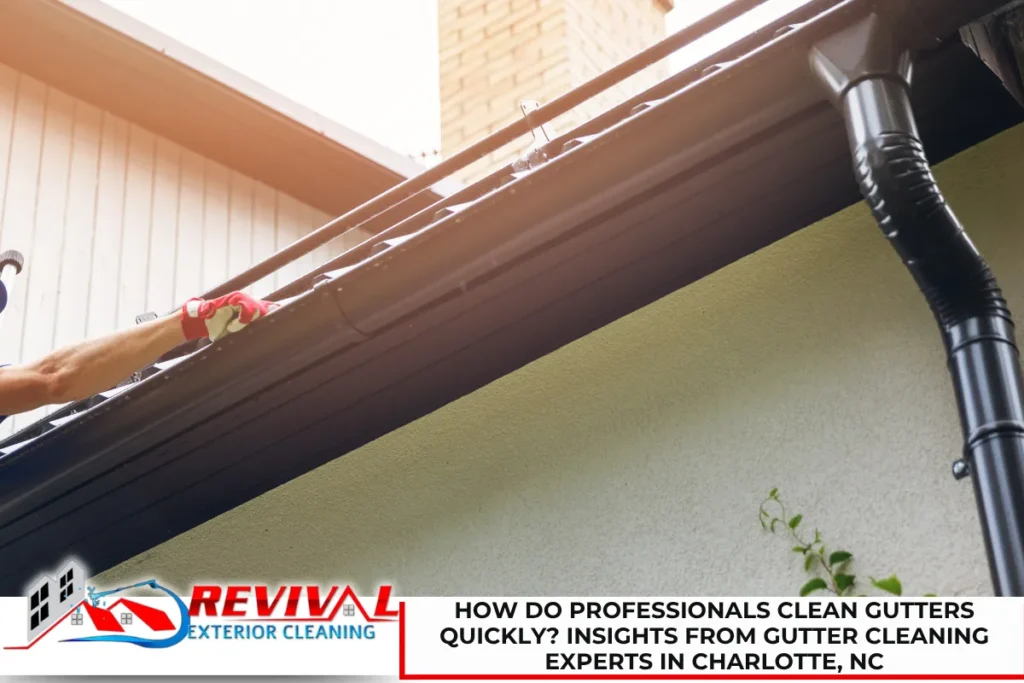 How Do Professionals Clean Gutters Quickly? Insights From Gutter Cleaning Experts in Charlotte, NC