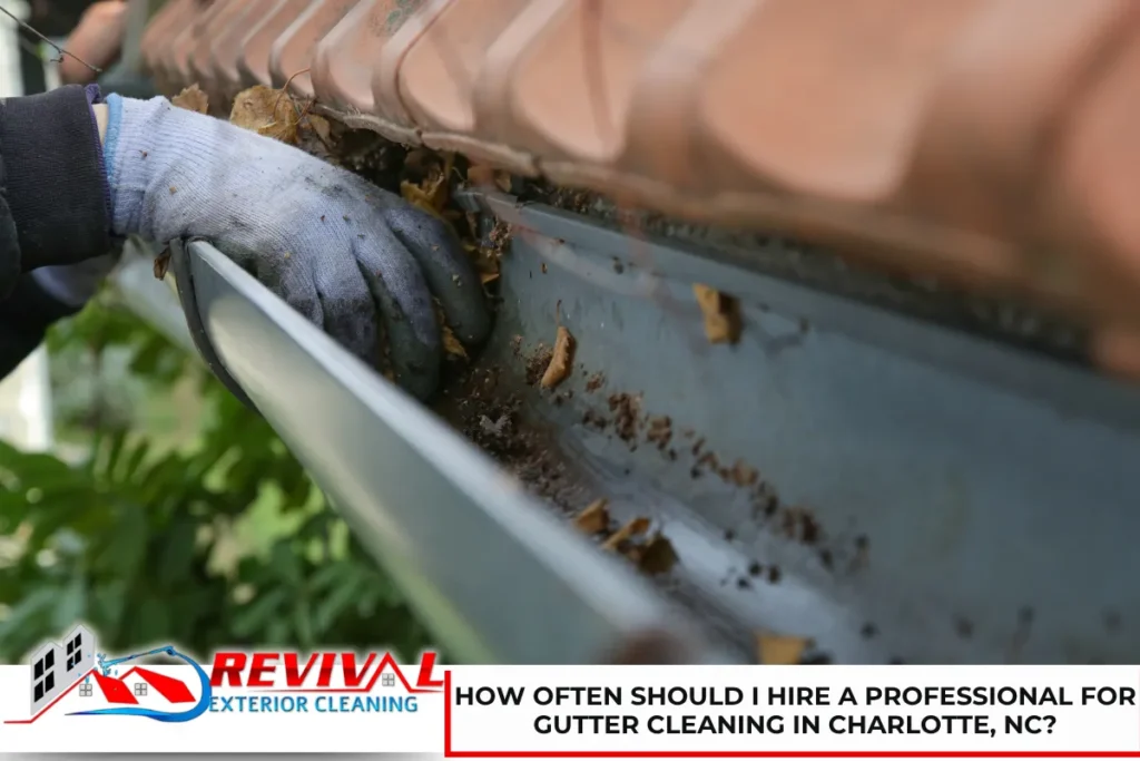 How Often Should I Hire a Professional for Gutter Cleaning in Charlotte, NC?