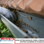 How Often Should I Hire a Professional for Gutter Cleaning in Charlotte, NC?