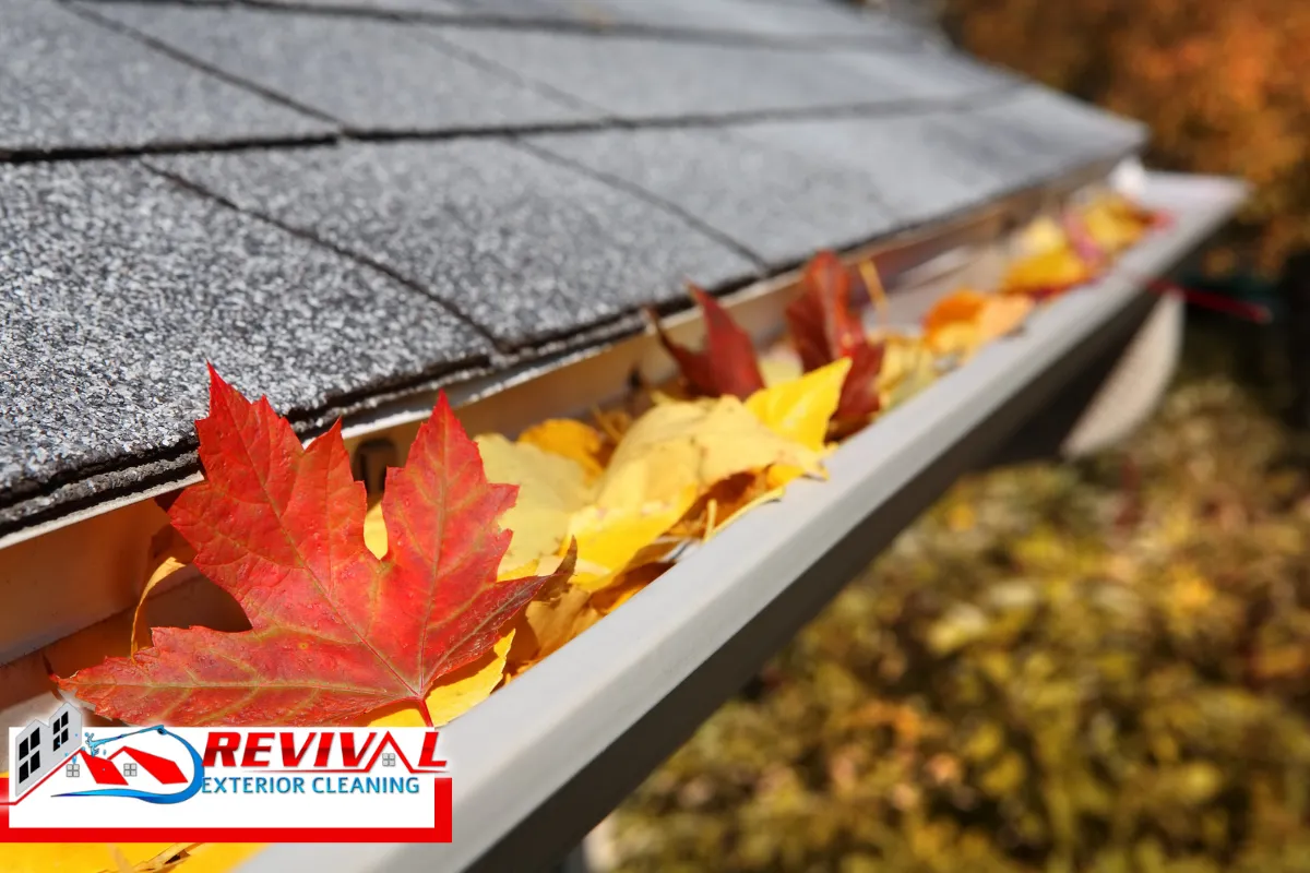 Season-by-Season Guide to Gutter Cleaning in Charlotte