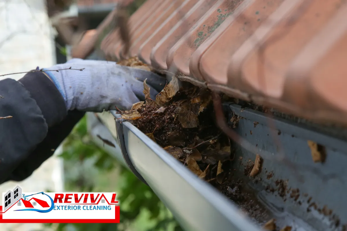 Step-by-Step: The Professional Gutter Cleaning Process