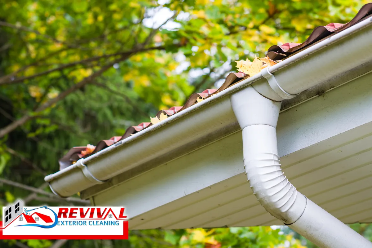 Warning Signs Your Gutters Need Professional Attention Now