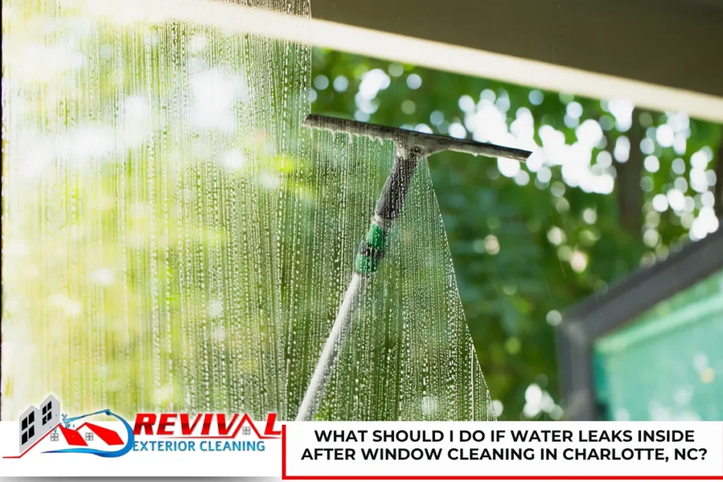 What Should I Do If Water Leaks Inside After Window Cleaning in Charlotte, NC?