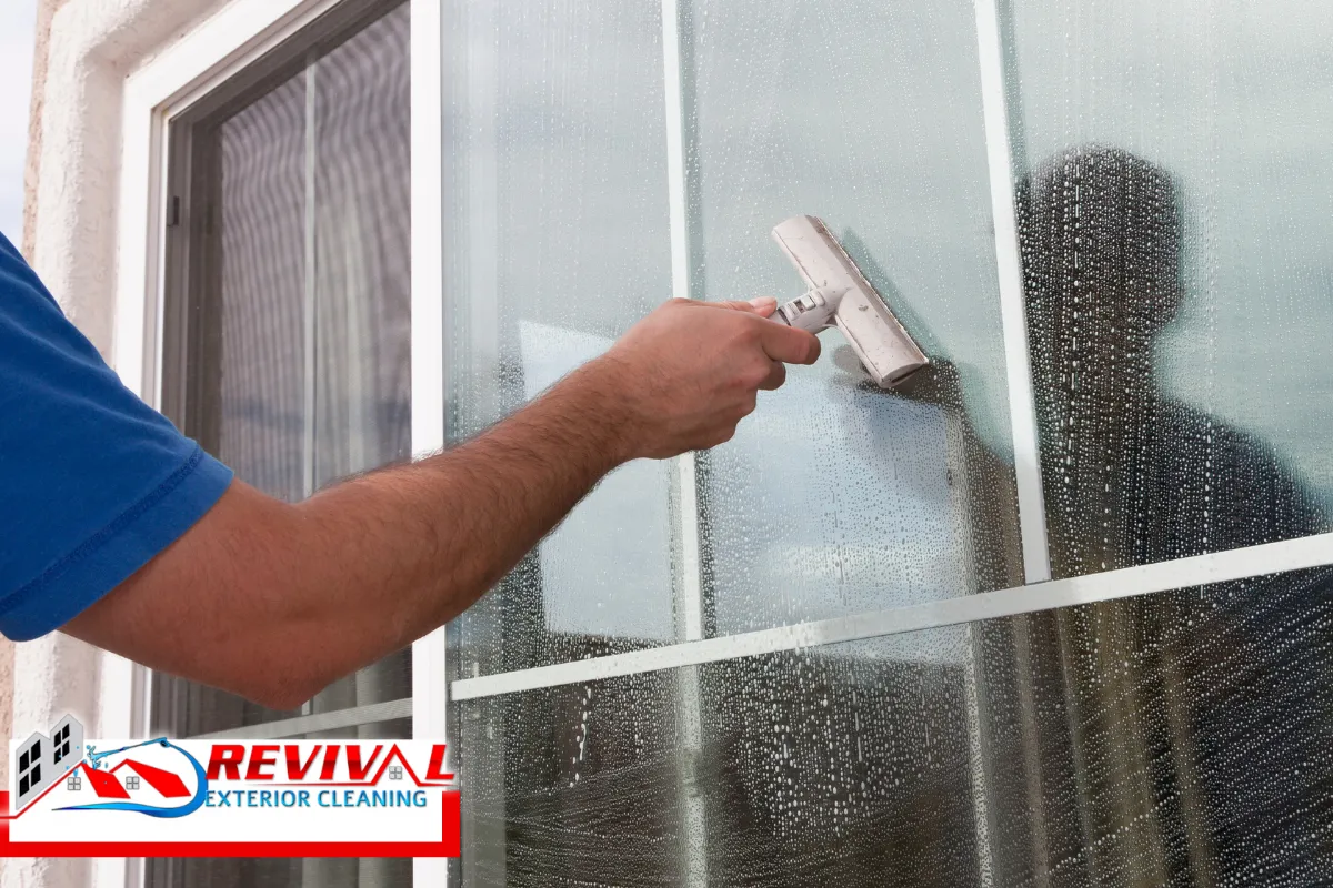 When to Call a Pro Beyond Your Window Cleaner
