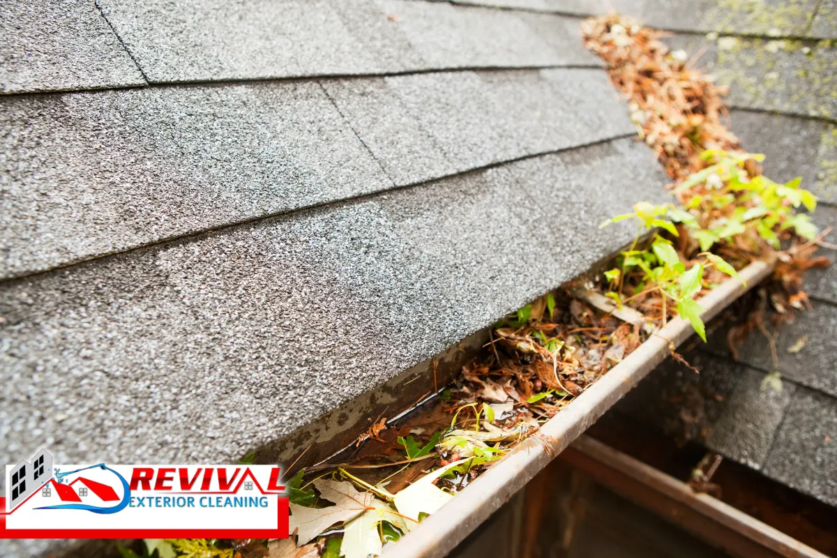 Why Charlotte's Climate Demands a Stricter Gutter Cleaning Schedule