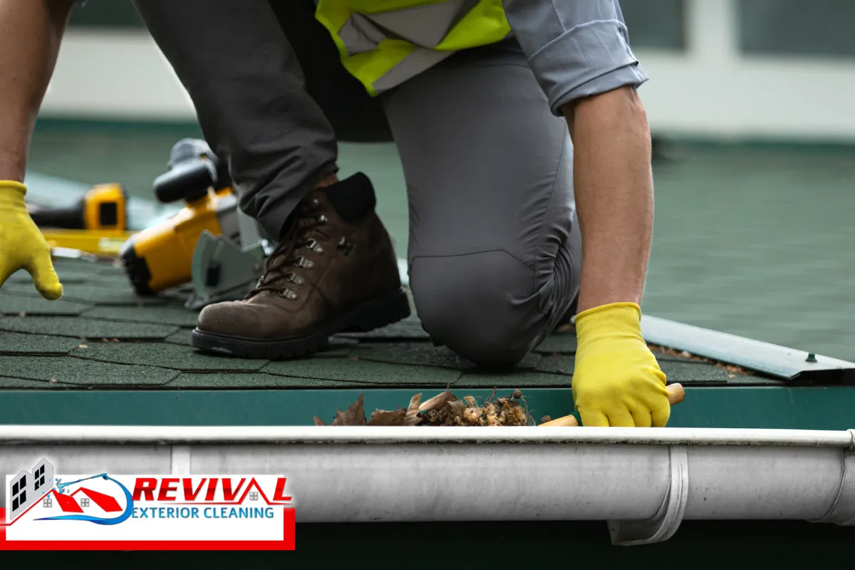 Why Gutter Cleaning Matters So Much in Charlotte, NC