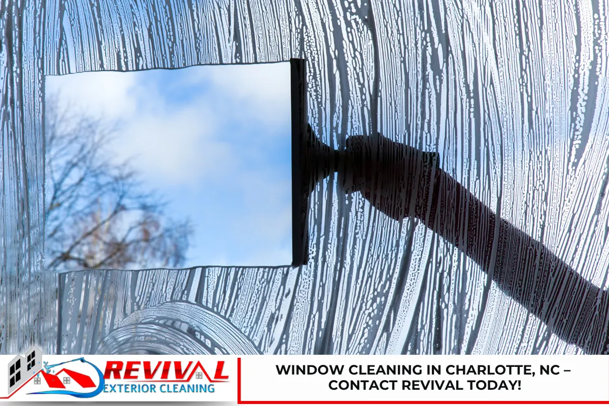 Window Cleaning in Charlotte, NC – Contact Revival Today!