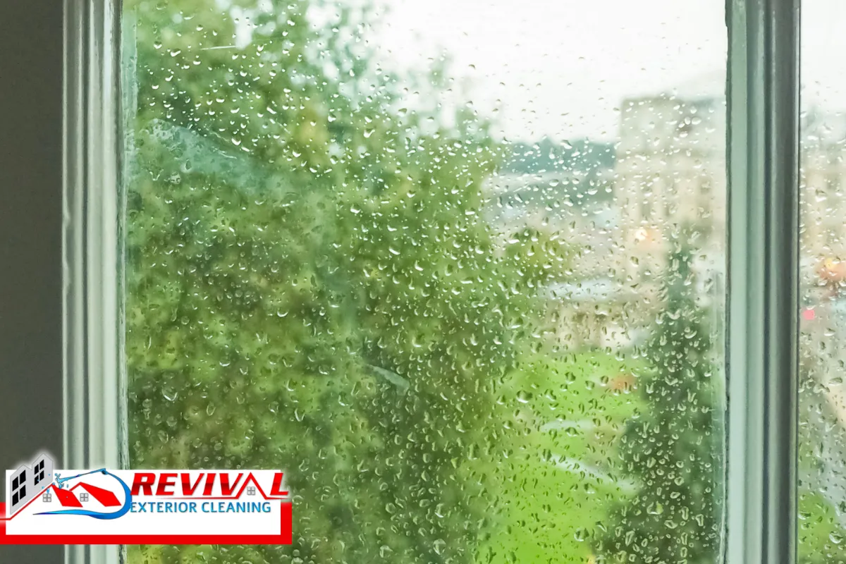 Windows That Should NOT Be Cleaned With a Pressure Washer