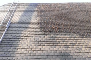 Slate Roofing Cleaning​